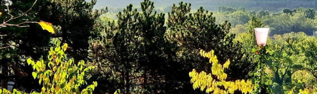 Villa Castel Maison-Table D'Hotes & Jardin-Refuge De Biodiversite Rillieux-la-Pape Ngoại thất bức ảnh